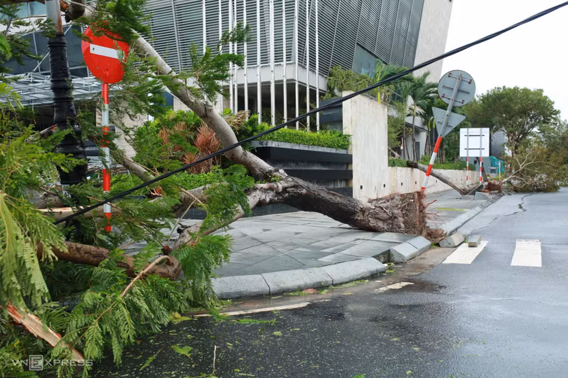 Cây đổ, nhà tốc mái sau bão Noru