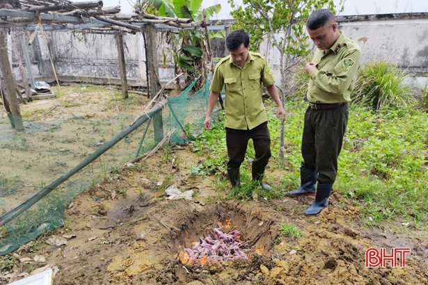 Thu giữ 260 cá thể chim trời tại một cơ sở kinh doanh ăn uống ở Lộc Hà