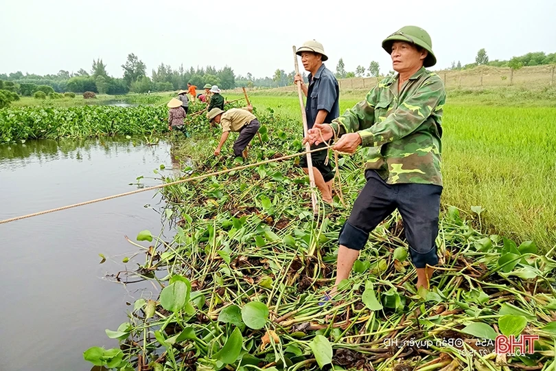 Trục vớt bèo, khơi thông dòng chảy đề phòng mưa lớn xẩy ra ở Nghi Xuân