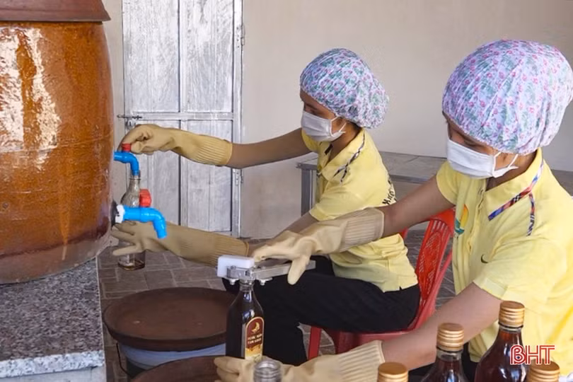 Chế biến thủy sản hải sản ở Lộc Hà đạt giá trị sản xuất khoảng 200 tỷ đồng