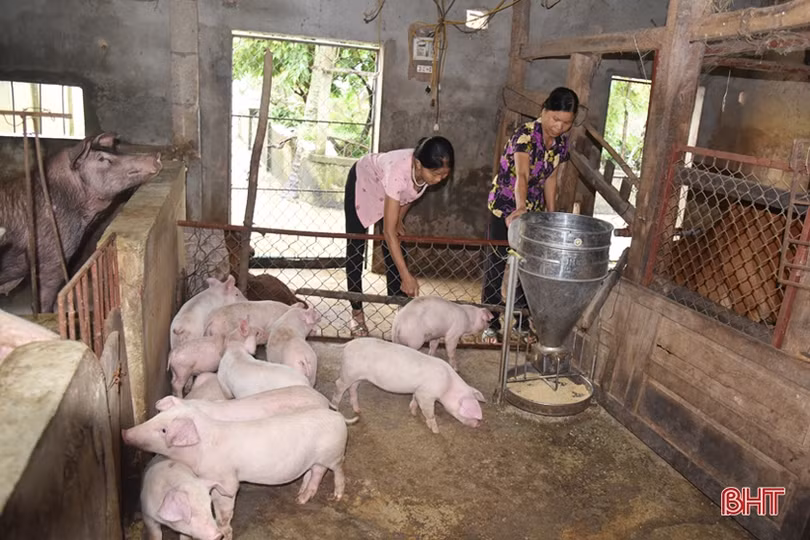 “Tiếp sức” cho người nghèo Lộc Hà vươn lên trong cuộc sống