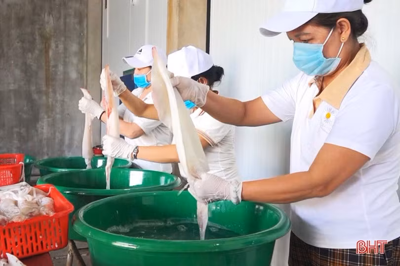 Chế biến thủy sản hải sản ở Lộc Hà đạt giá trị sản xuất khoảng 200 tỷ đồng