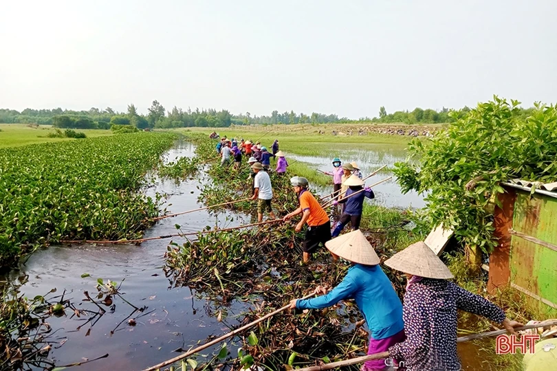 Trục vớt bèo, khơi thông dòng chảy đề phòng mưa lớn xẩy ra ở Nghi Xuân