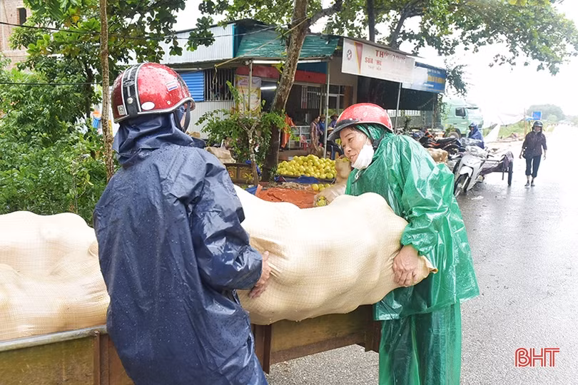 Nông dân Hương Khê “đội mưa thu hoạch bưởi Phúc Trạch