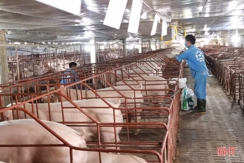 Ngành Ngân hàng Hà Tĩnh “thắng lớn” mục tiêu phát triển dư nợ