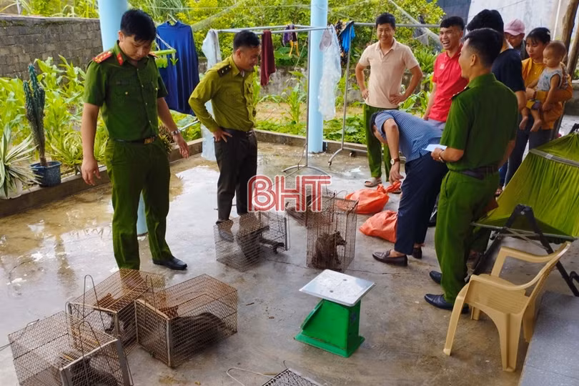 Phát hiện một gia đình ở huyện Kỳ Anh nuôi nhốt trái phép động vật hoang dã