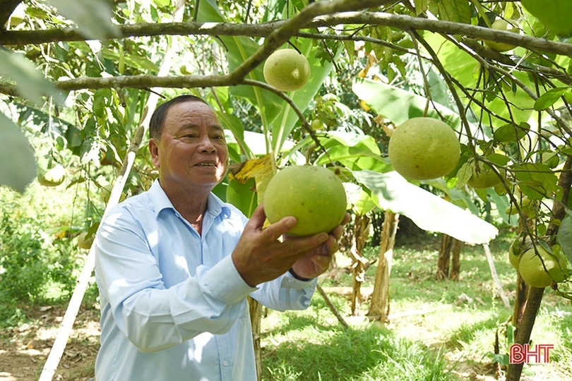 Cựu binh làm kinh tế giỏi, dám nghĩ, dám làm