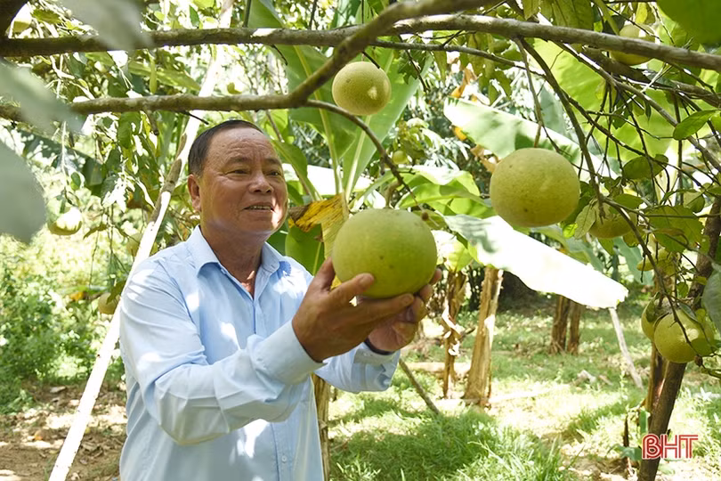 Cựu binh làm kinh tế giỏi, dám nghĩ, dám làm