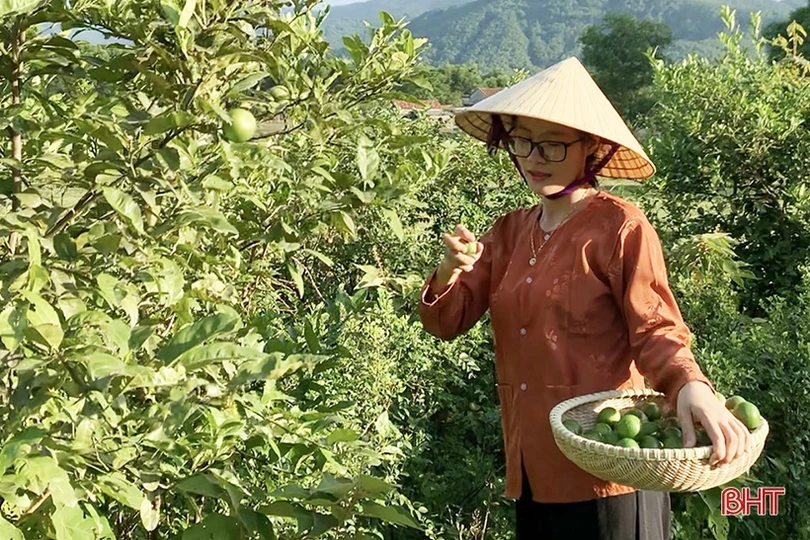 9X Cẩm Xuyên khởi nghiệp thành công với các sản phẩm chiết xuất từ thảo mộc