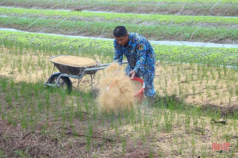 Sau mưa, nông dân Hà Tĩnh ra đồng làm đất, chăm sóc cây trồng