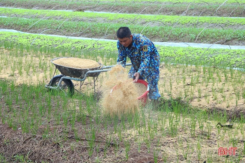 Sau mưa, nông dân Hà Tĩnh ra đồng làm đất, chăm sóc cây trồng
