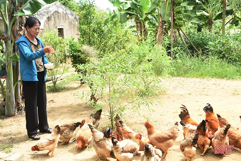 Cựu binh làm kinh tế giỏi, dám nghĩ, dám làm