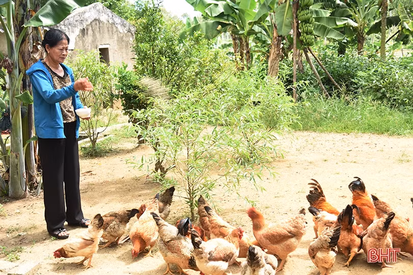 Cựu binh làm kinh tế giỏi, dám nghĩ, dám làm