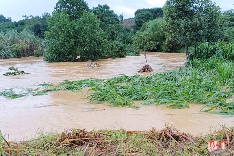Tiếp tục theo dõi chặt chẽ diễn biến, chủ động ứng phó với mưa lũ