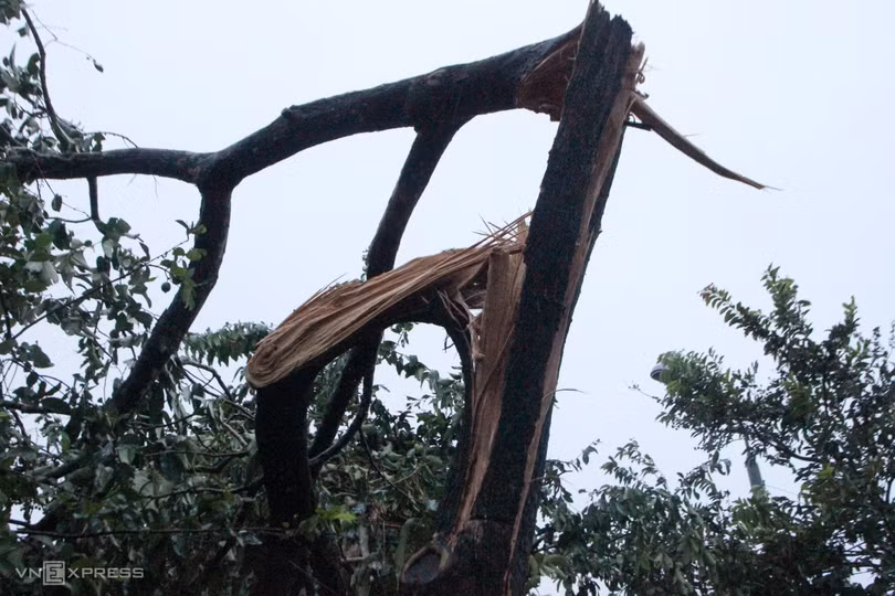 Cây đổ, nhà tốc mái sau bão Noru