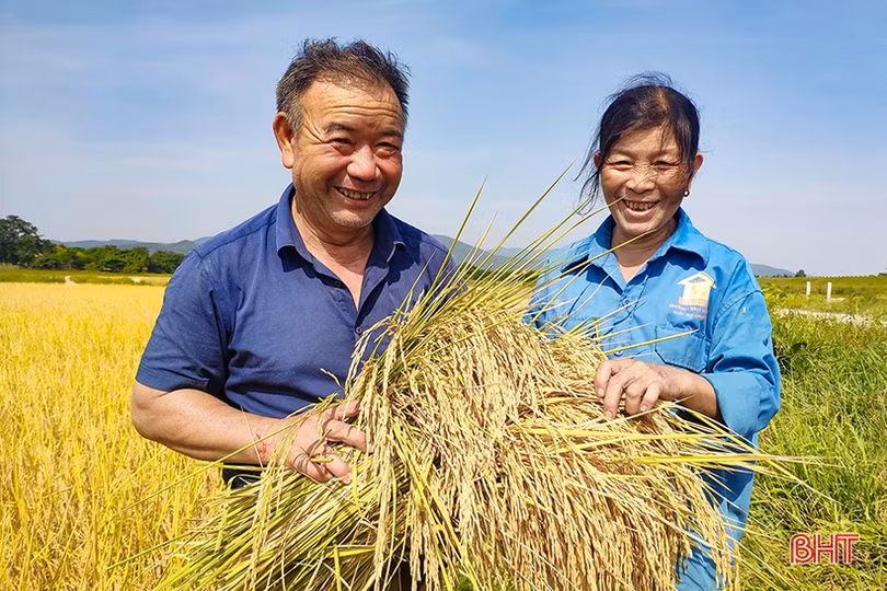 Người cao tuổi: “gốc vững, cây bền”
