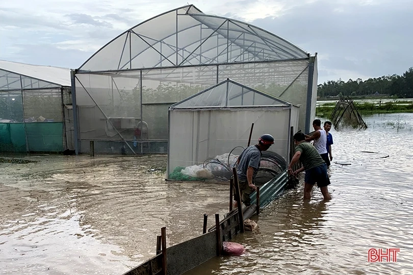 Giúp dân khắc phục thiệt hại do mưa, gió lốc ở Nghi Xuân