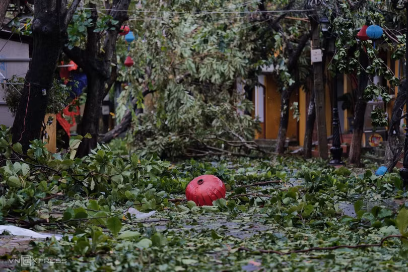 Cây đổ, nhà tốc mái sau bão Noru