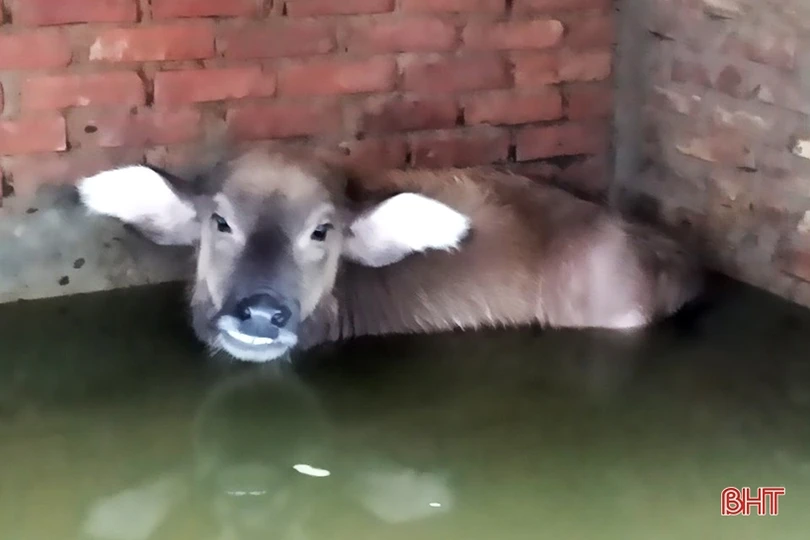 Giúp dân khắc phục thiệt hại do mưa, gió lốc ở Nghi Xuân