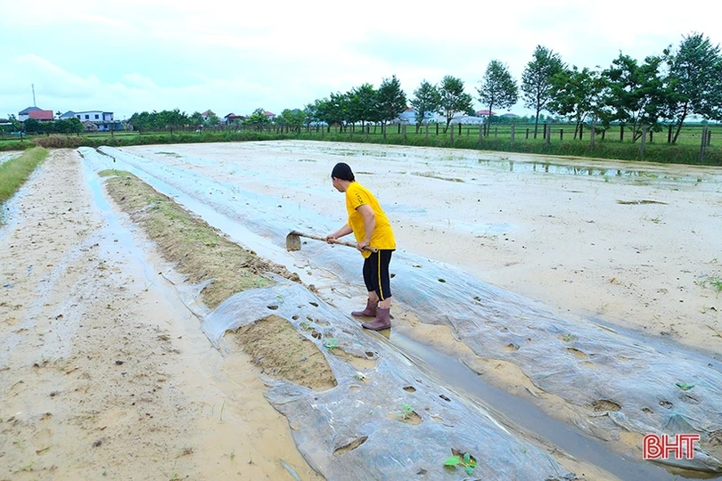 Sau mưa, nông dân Hà Tĩnh ra đồng làm đất, chăm sóc cây trồng