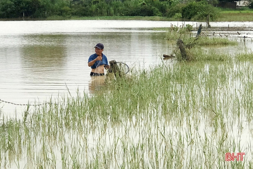 Người dân Hương Sơn bất chấp nguy hiểm để đánh bắt cá