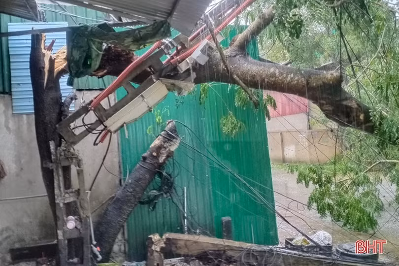 Mưa to kèm gió giật mạnh, nhiều cột điện ở Hà Tĩnh bị gãy đổ