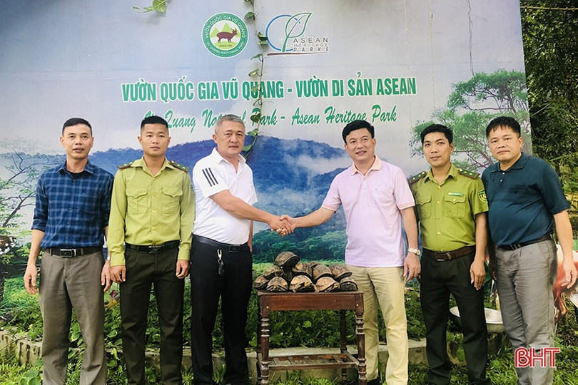 Vườn Quốc gia Vũ Quang tiếp nhận 31 cá thể động vật hoang dã quý hiếm