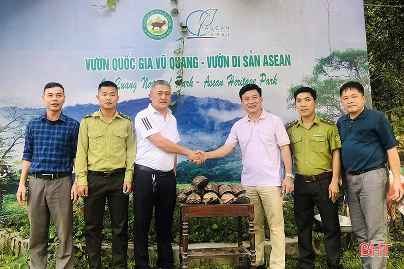 Vườn Quốc gia Vũ Quang tiếp nhận 31 cá thể động vật hoang dã quý hiếm