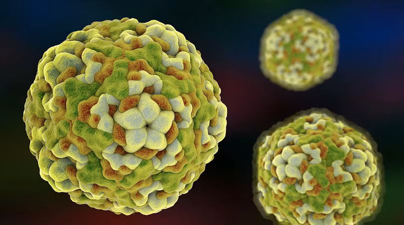 Mỹ cảnh báo loại virus có thể gây liệt ở trẻ em