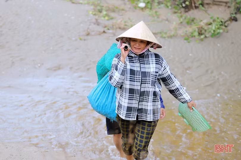 Hàng trăm người dân đổ ra biển Lộc Hà nhặt sò lông dạt bờ sau bão