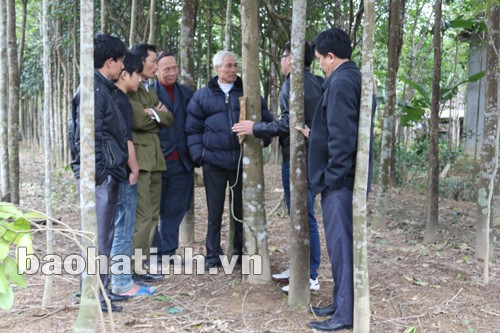 Anh Nguyễn Duy Kiên -Nghiên cứu sinh trường Đại học Nông nghiệp Hoa Nam (Trung Quốc) Hướng dẫn nhân dân cách tạo dich thông thể