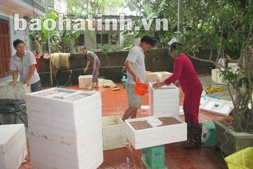 Gia đình ông Ngô Xuân Hà đóng hàng xuất khẩu sang Trung Quốc.