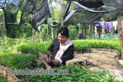 Dù bị tật nguyền đôi chân và trí nhớ có phần kém hơn người bình thường nhưng anh Chiến vẫn vay tiền bạn bè ươm dó trầm kiếm thêm tiền phụ gia đình