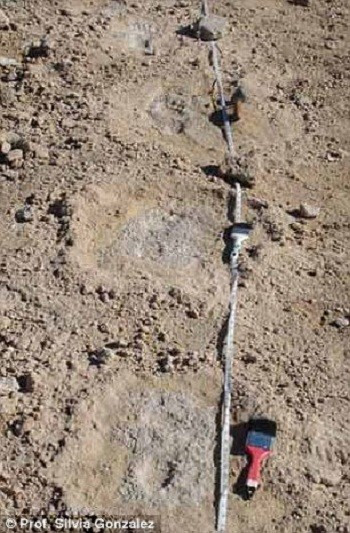 Các nhà khảo cổ tìm thấy thêm 11 hàng dấu chân có niên đại khoảng 7.250 năm. Họ còn tìm thấy cả phấn hoa lẫn trong lớp trầm tích, đây là một dấu hiệu cho thấy nơi này trước đây không khô cằn như bây giờ.