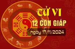 Tử vi hàng ngày - Tử vi 12 con giáp hôm nay ngày 17/11/2024.