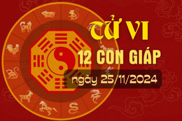 Tử vi hàng ngày - Tử vi 12 con giáp hôm nay ngày 25/11/2024.