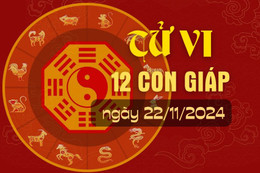 Tử vi hàng ngày - Tử vi 12 con giáp hôm nay ngày 22/11/2024.