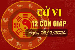 Tử vi hàng ngày - Tử vi 12 con giáp hôm nay ngày 0512/2024.