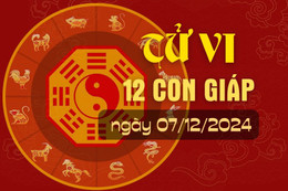 Tử vi hàng ngày - Tử vi 12 con giáp hôm nay ngày 07/12/2024.