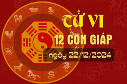 Tử vi hàng ngày - Tử vi 12 con giáp hôm nay ngày 22/12/2024.