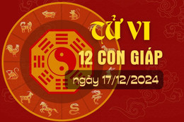 Tử vi hàng ngày - Tử vi 12 con giáp hôm nay ngày 17/12/2024