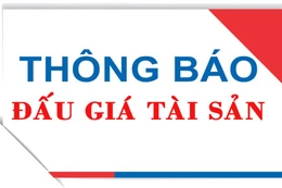 Đấu giá: Vật phẩm, vật liệu thu hồi từ phá dỡ nhà và trang thiết bị doanh trại thanh lý (lần 2)
