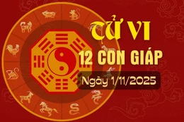Tử vi hàng ngày - Tử vi 12 con giáp hôm nay ngày 1/11/2025.