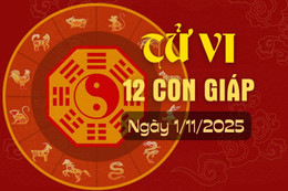 Tử vi hàng ngày - Tử vi 12 con giáp hôm nay ngày 1/11/2025.