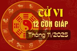 Tử vi 12 con giáp tháng 11/2025 dương lịch