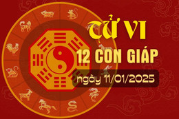 Tử vi hàng ngày - Tử vi 12 con giáp hôm nay ngày 11/1/2025.