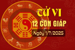 Tử vi hàng ngày - Tử vi 12 con giáp hôm nay ngày 1/7/2025.