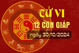 Tử vi hàng ngày - Tử vi 12 con giáp hôm nay ngày 30/10/2024.