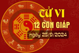 Tử vi hàng ngày - Tử vi 12 con giáp hôm nay ngày 25/9/2024.