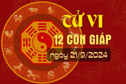 Tử vi hàng ngày - Tử vi 12 con giáp hôm nay ngày 21/9/2024.